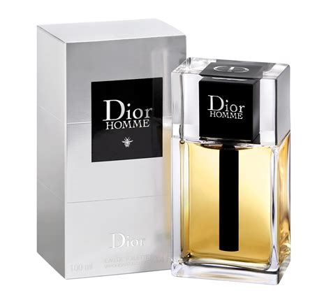 christian dior pret a porter femme|dior homme original for men.